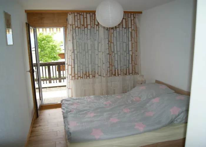 Les Mandarins D * 克莱恩 蒙塔纳