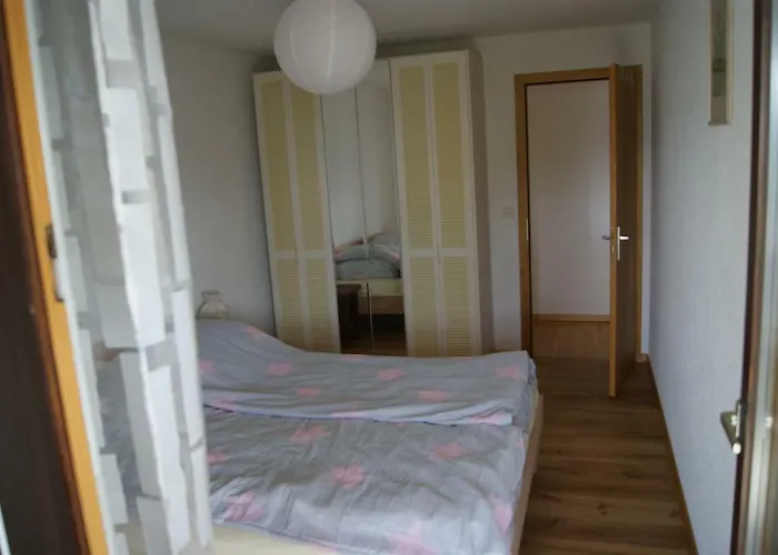 Les Mandarins D 克莱恩 蒙塔纳